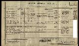 Anne Raven 1911 Census